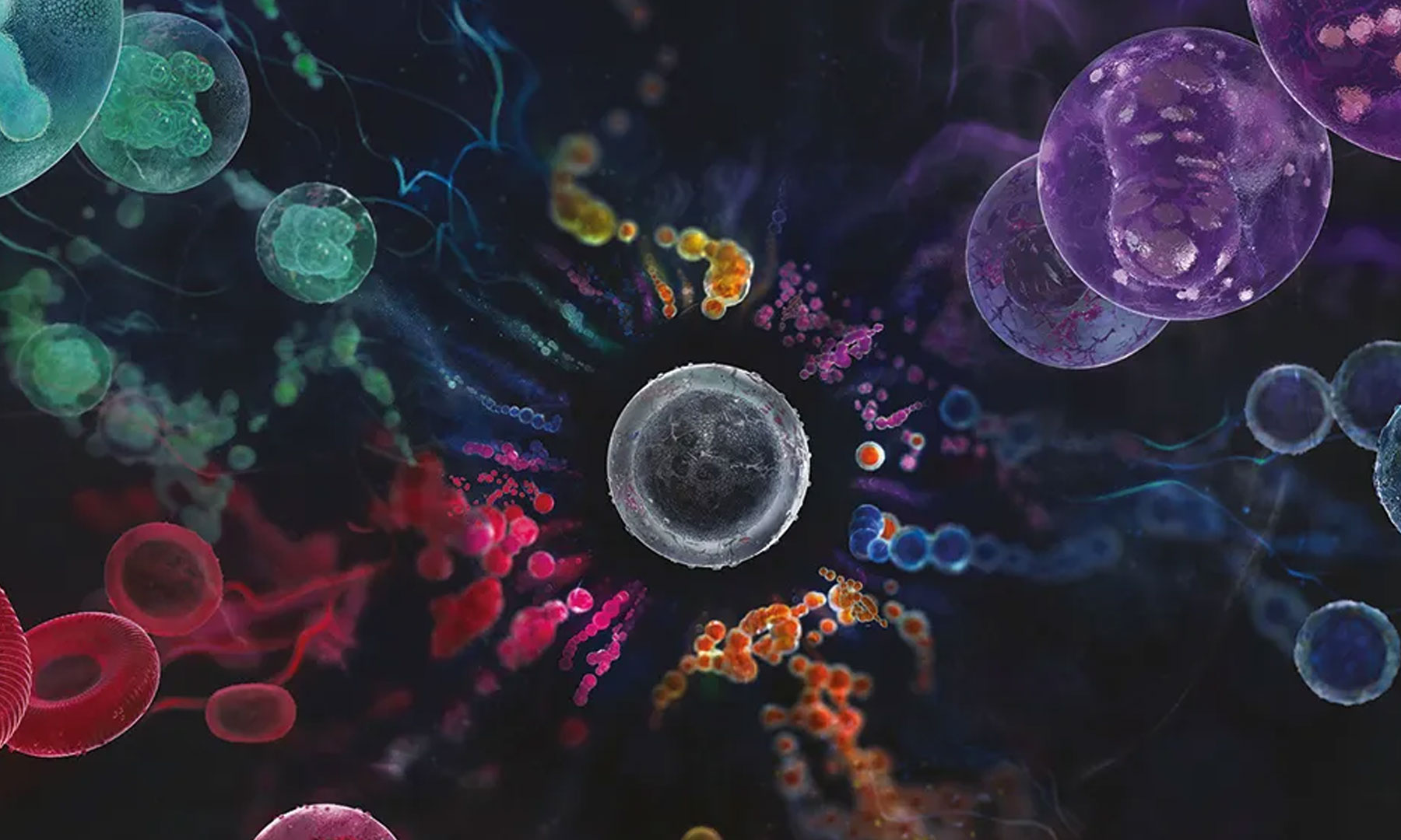 Beneficios de la Medicina Regenerativa - Células Madre